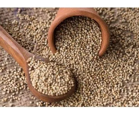 Baajra (باجرہ)