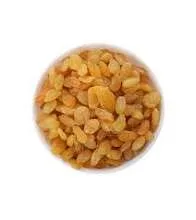 Kishmish raisin (کشمش)