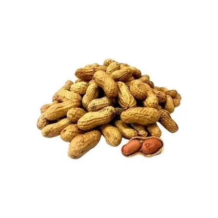 Moong phalli Moong pods(مونگ پھلی)