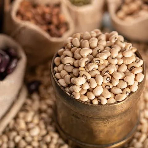 Rawah (رواں)